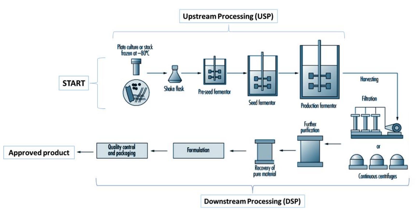 3. typical biopharmaceutical production process flowsheet.
