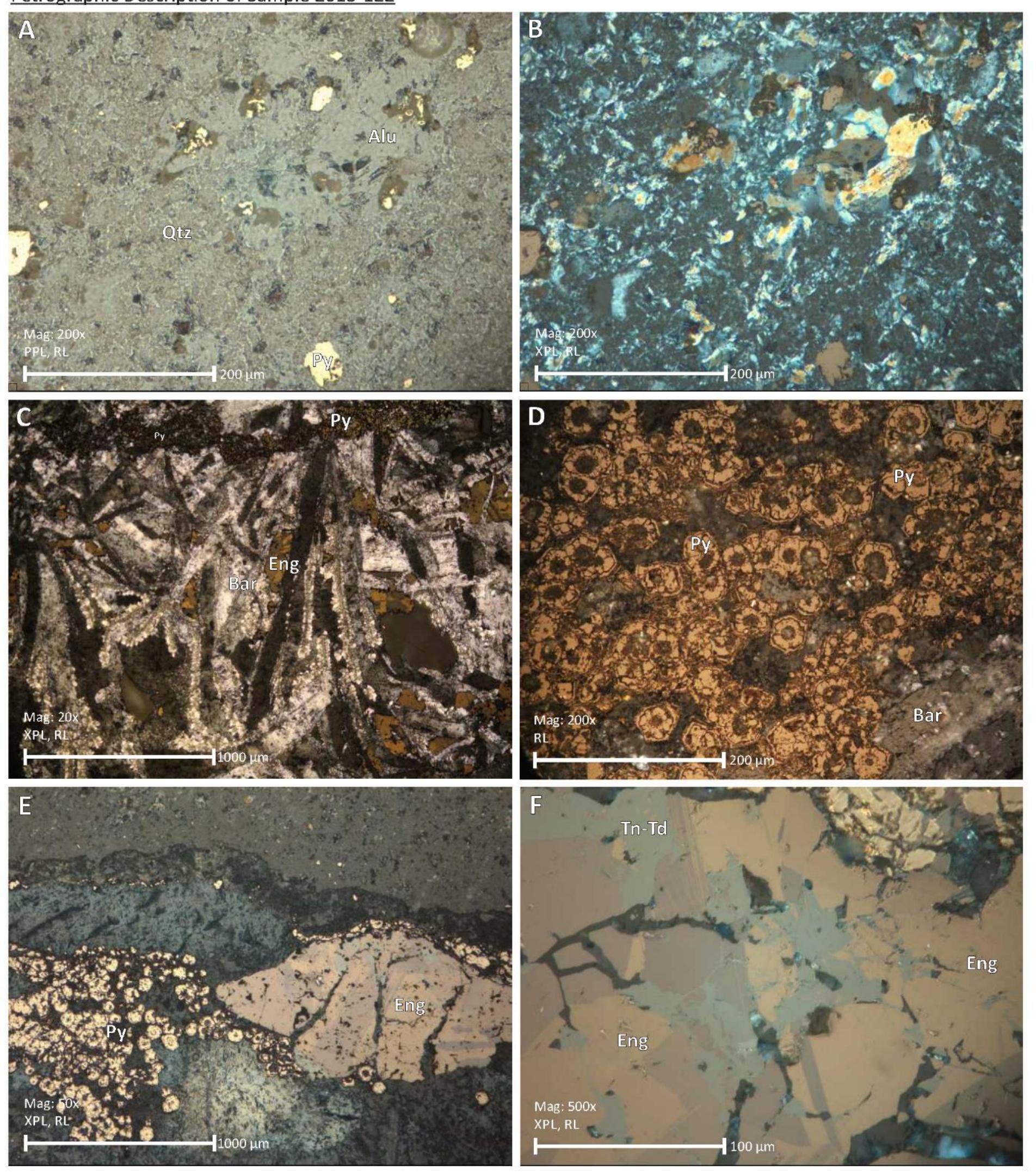 Cilisified Rocks A. plane polarized light and reflected light; silicified
