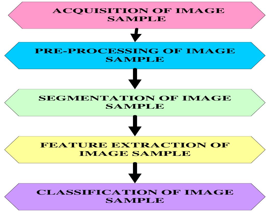 (PDF) Plant Disease Detection Using Different Algorithms