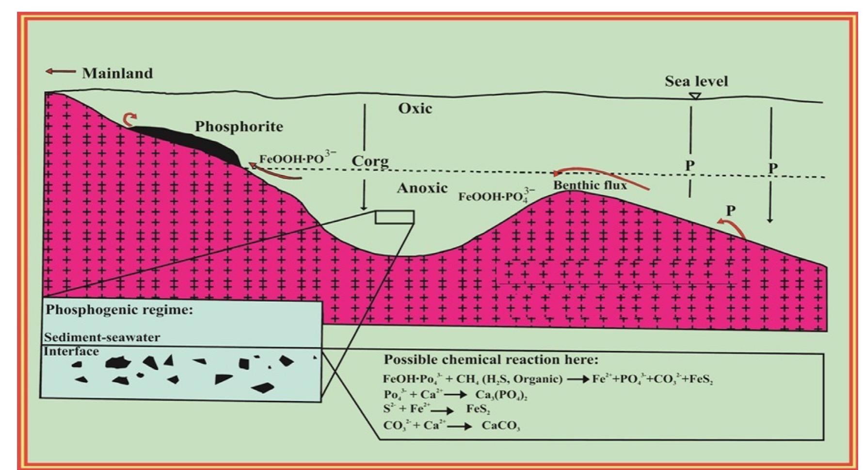 Simplified pictorial model of mineralization modified after