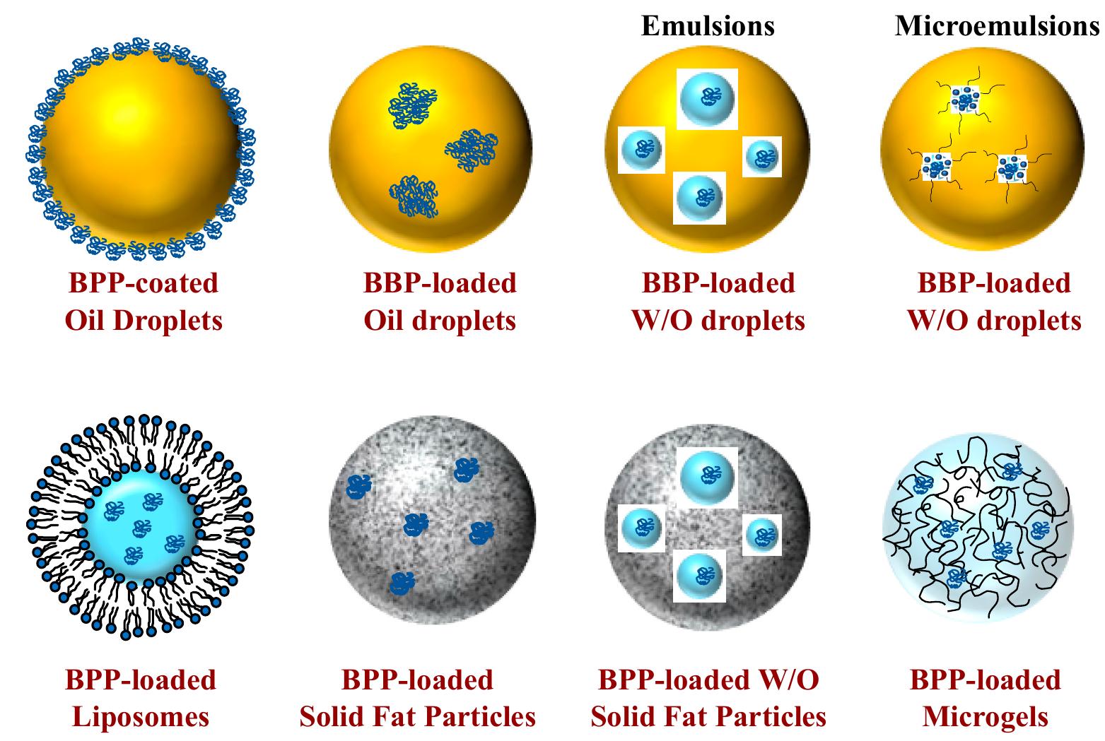 Figure 1 - from Recent Advances in Encapsulation,