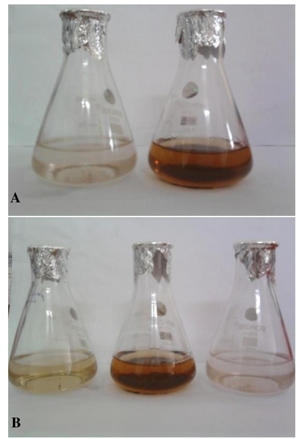 (a). the picture shows the colour changes before and after