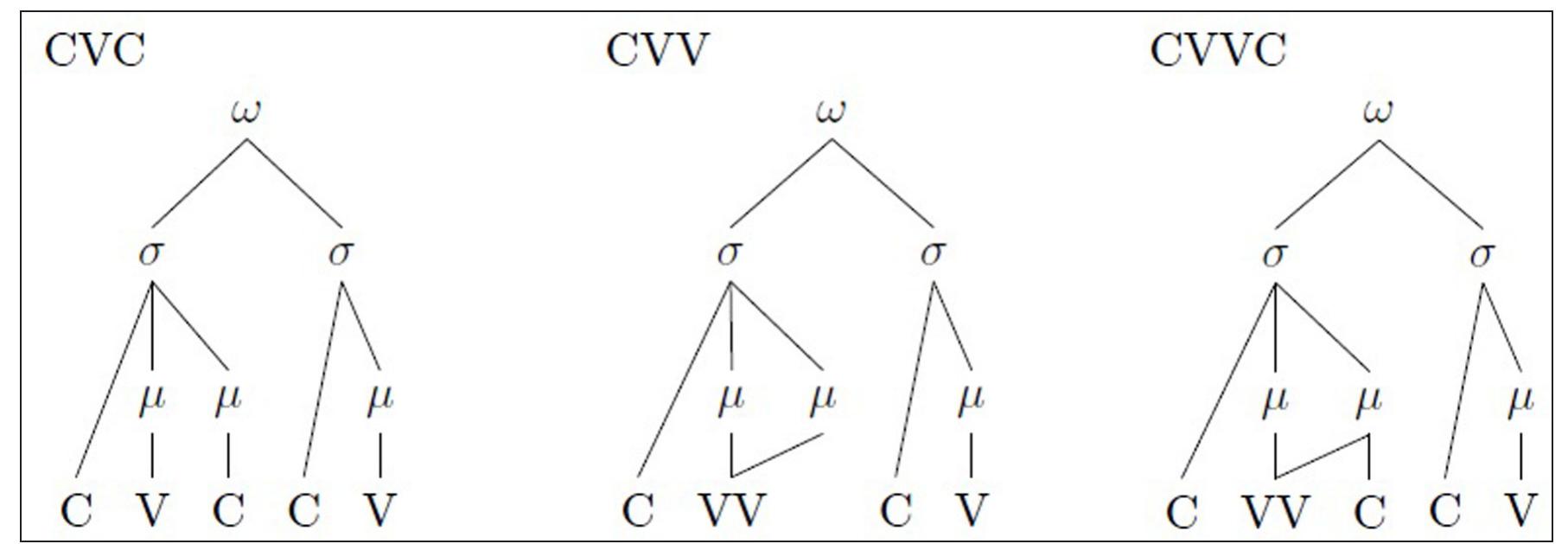 Figure 3 - from Syllable weight, vowel length and focus in