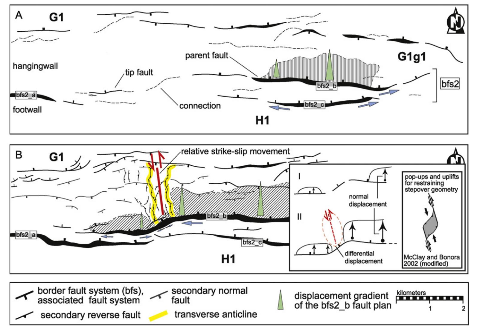 Evolution of the bsf2_b fault and development of the flower