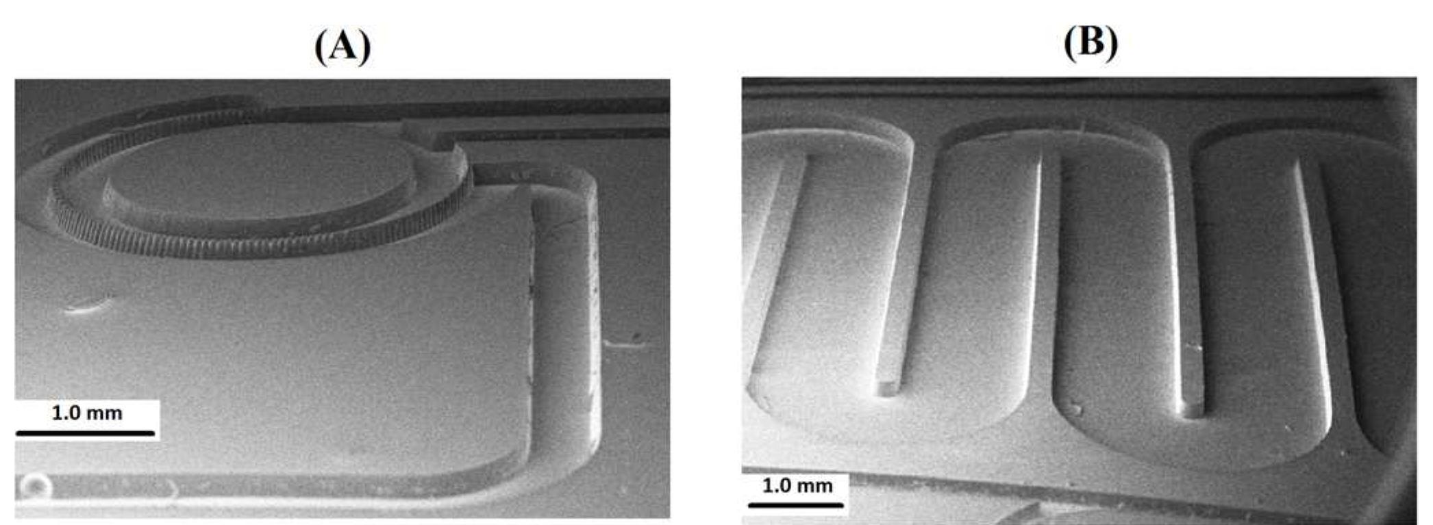 Sem Bionic Microstructure Figure 4 - from Exploiting the Oxygen Inhibitory Effect on