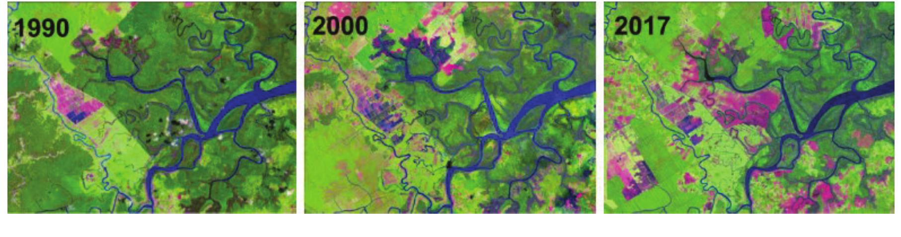 (PDF) GIS and Remote Sensing for Mangroves Mapping and Monitoring