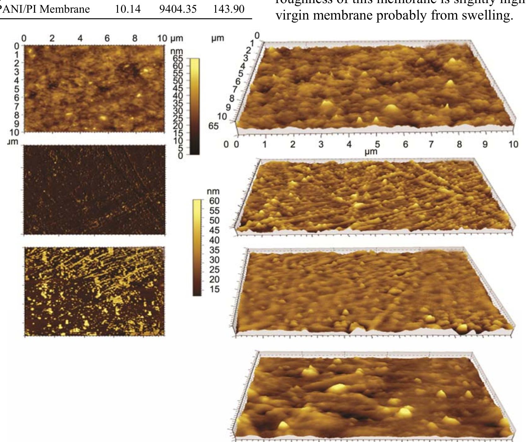 Pi 2d afm image fig. 4a, 2d phase image of pani fig. 4b, 3d