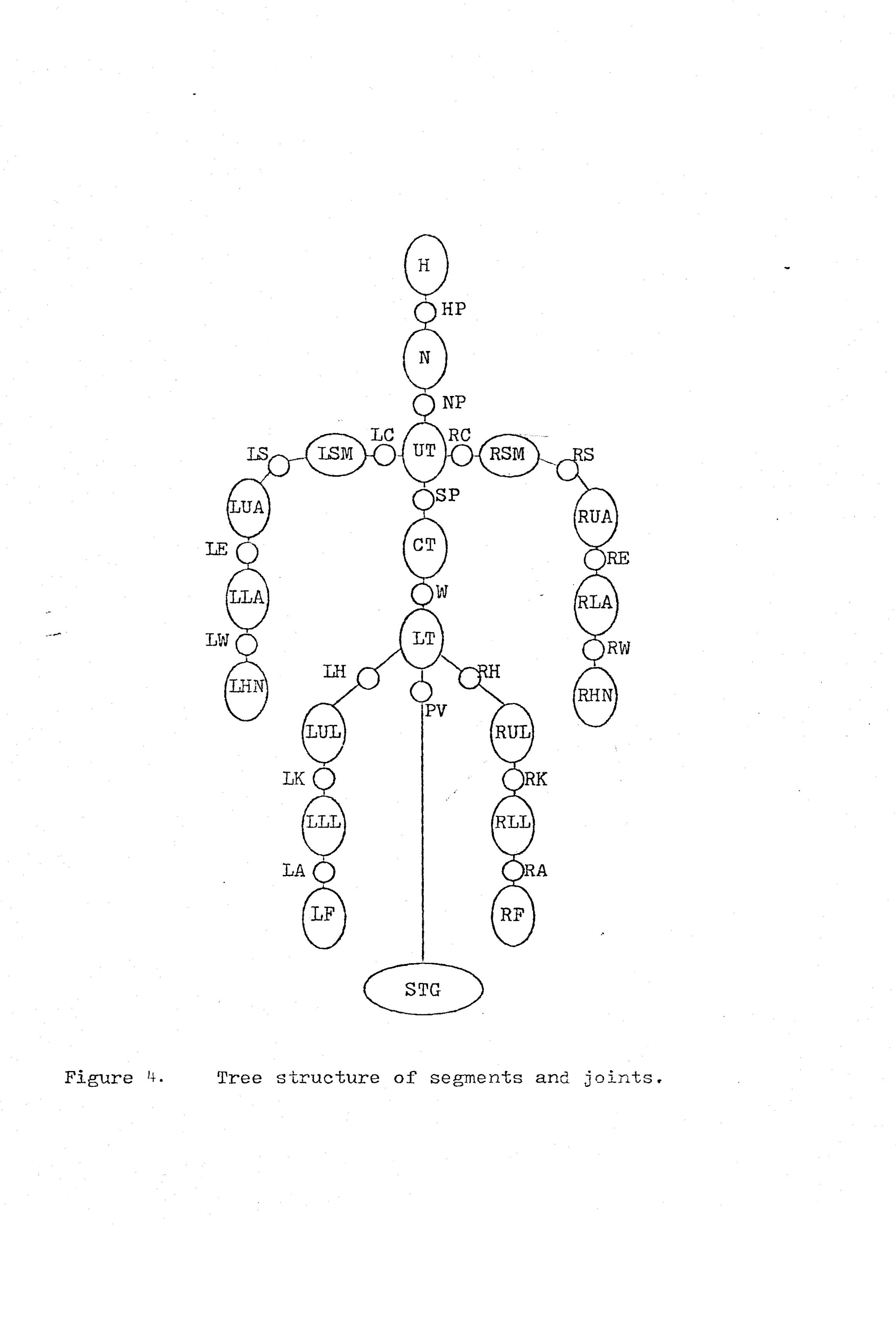 (PDF) A Human Body Modelling System for Motion Studies