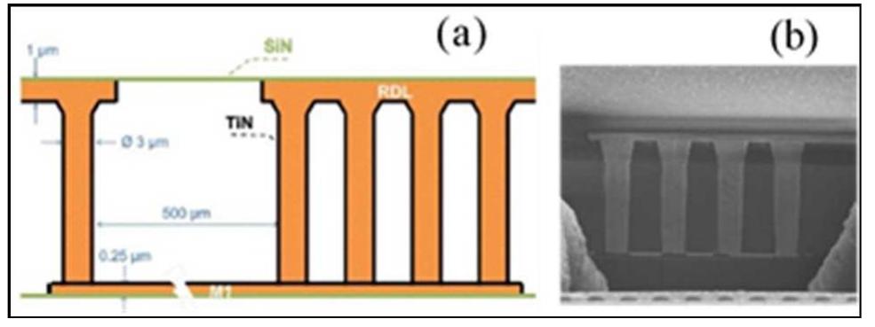 Em test structure cross section view: (a) a schematic, and