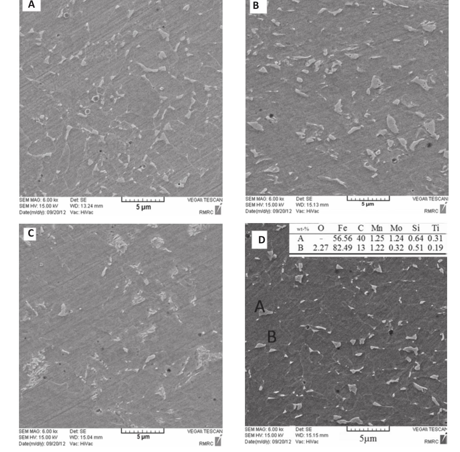 sem micrographs of wms after electro-etching. a — specimen