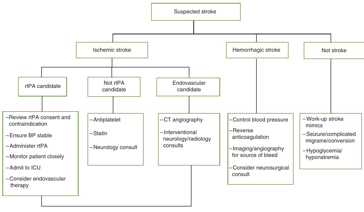 Unc Stroke Algorithm (PDF) Rule Out Acute Stroke