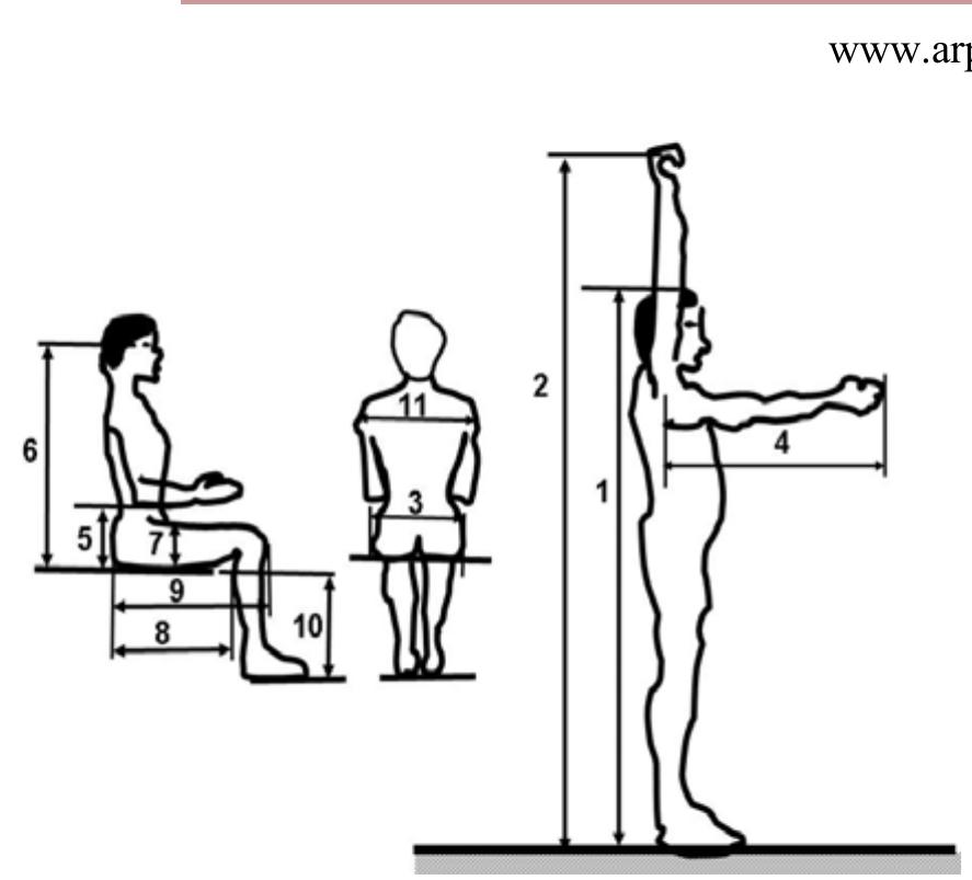 -1 shows the age, gender and class classification of the