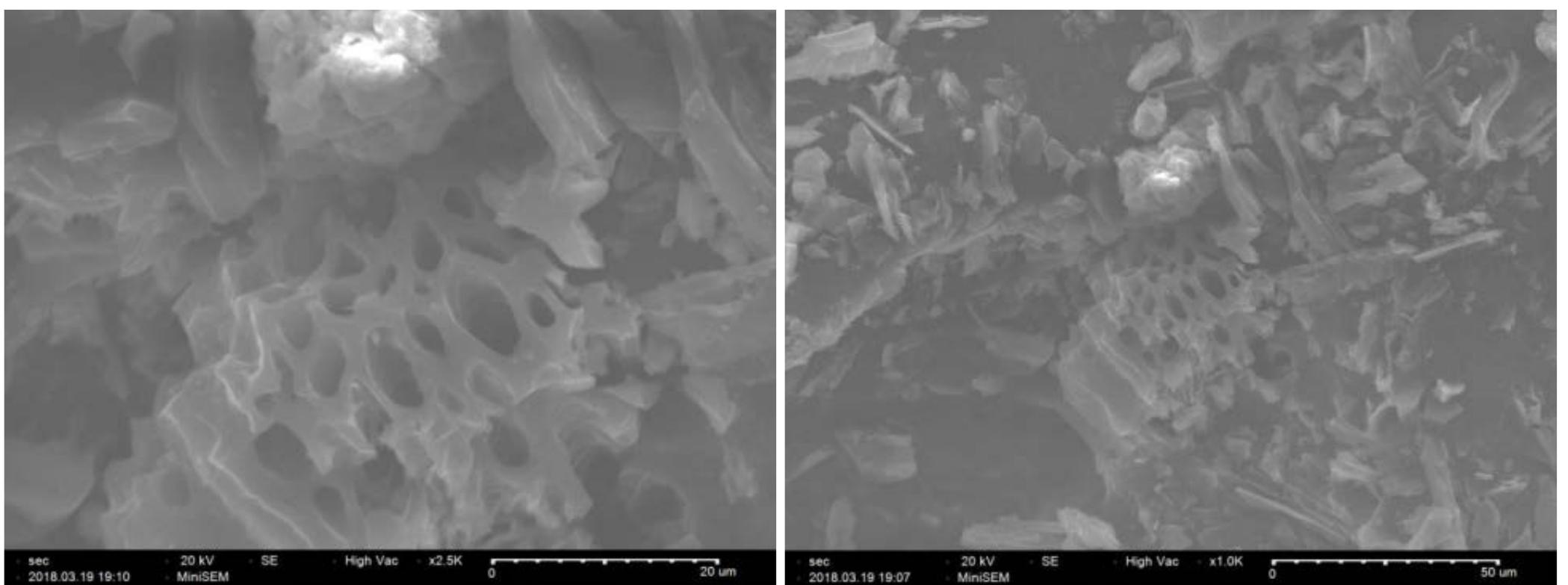 Sem images of before and after the adsorption process