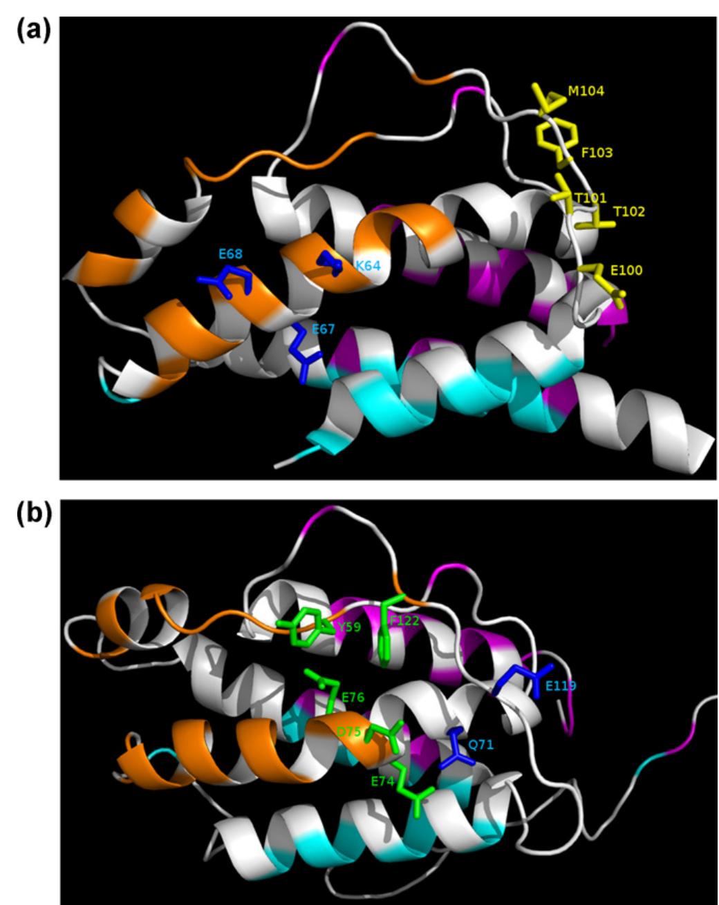 (PDF) Deciphering the molecular bases of the biological effects of ...