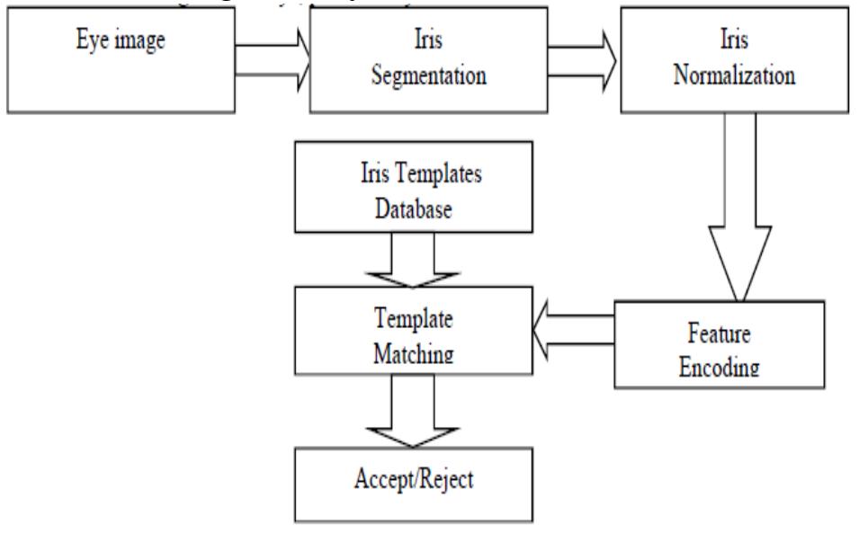 (PDF) Biometric Security System Using Iris Recognition