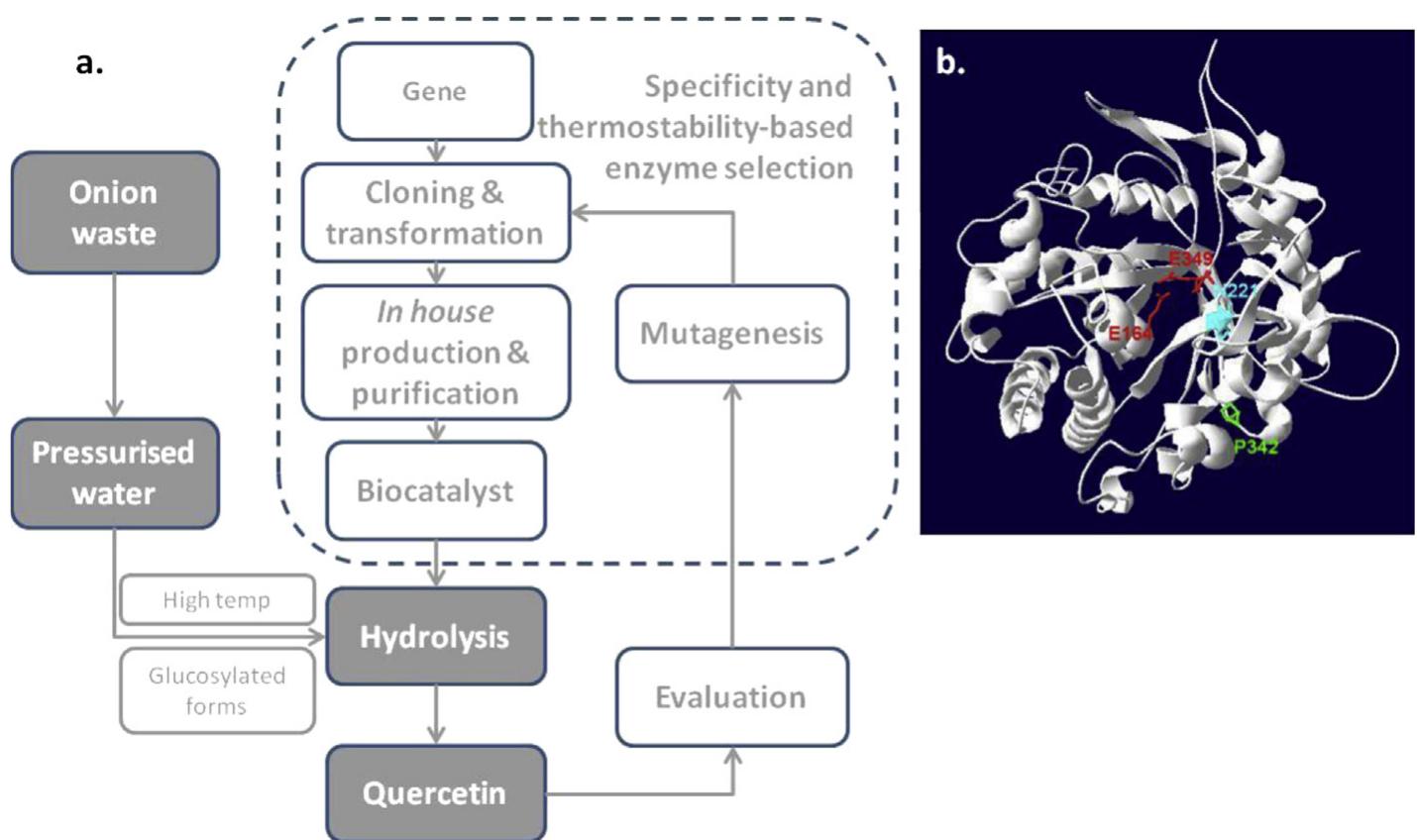(PDF) Bioresource utilisation by sustainable technologies in new value ...