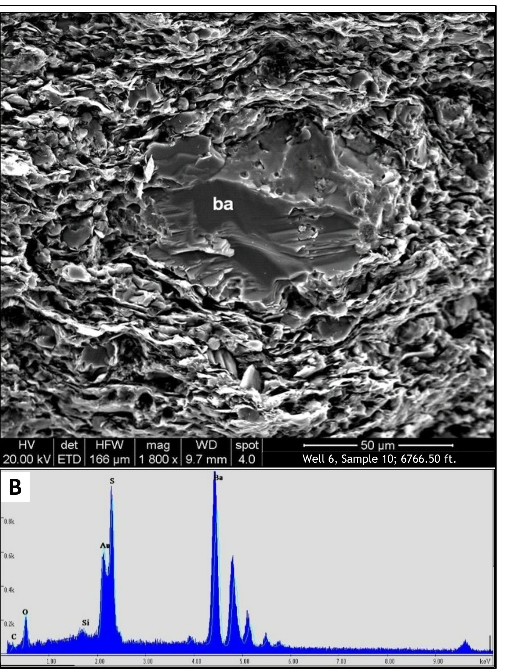 52: sem photomicrograph showing the textural overview of a