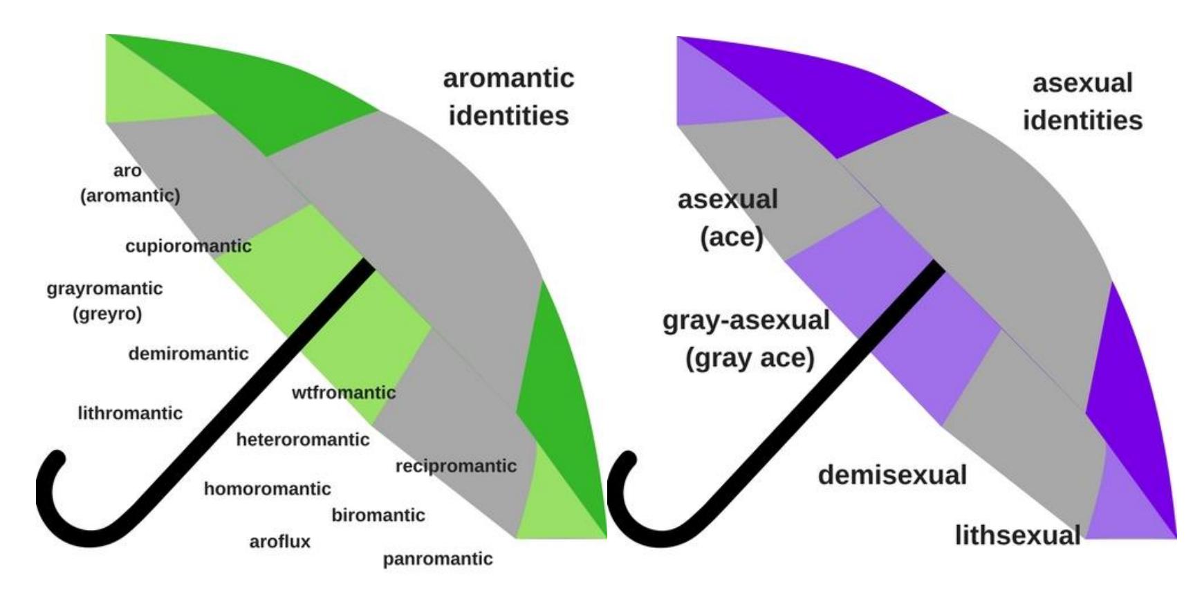 (PDF) Compulsory Sexuality and Amatonormativity in Higher Education : A ...