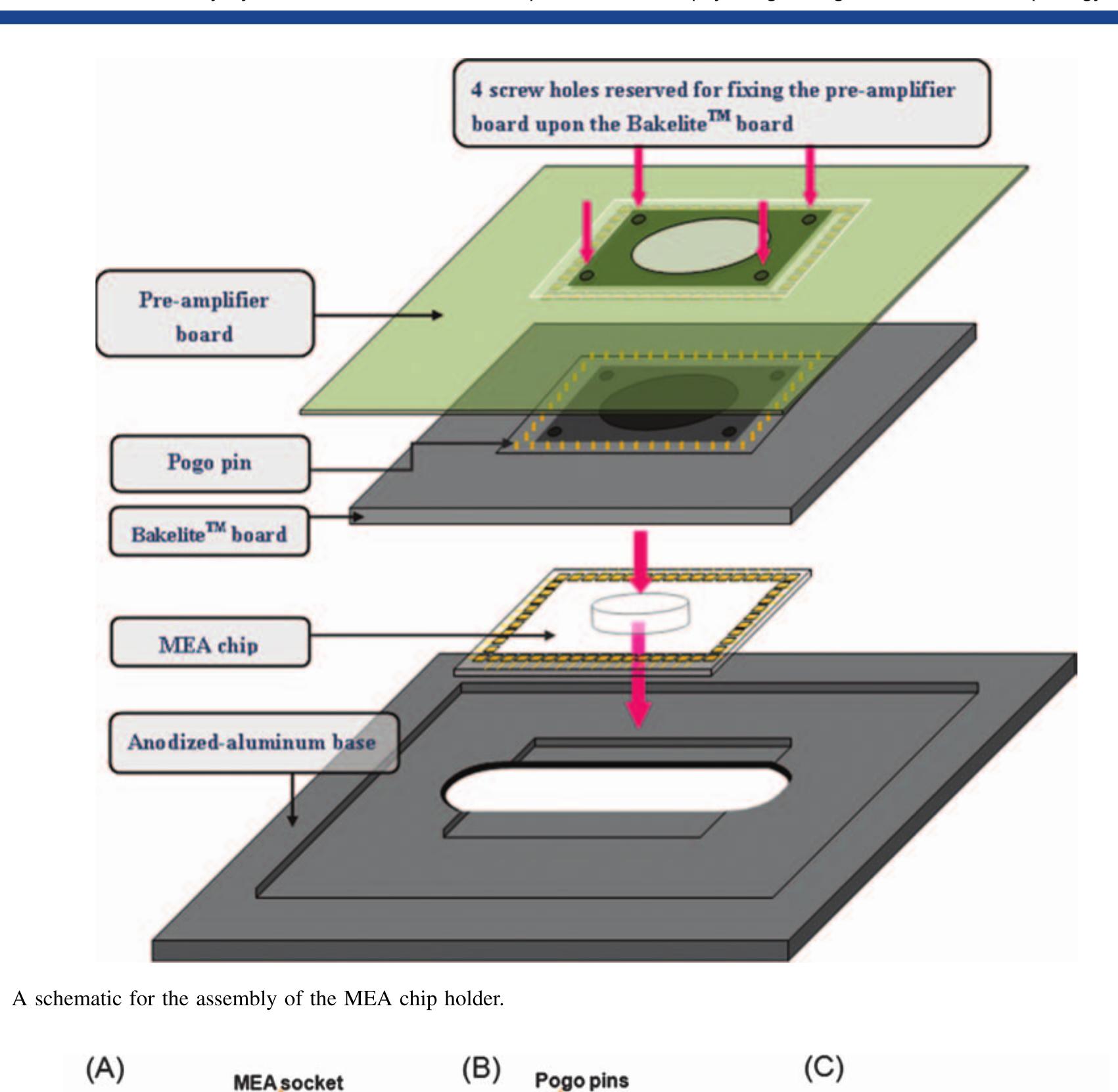 (PDF) A Low-Cost Multi-Electrode Array System for the Simultaneous ...