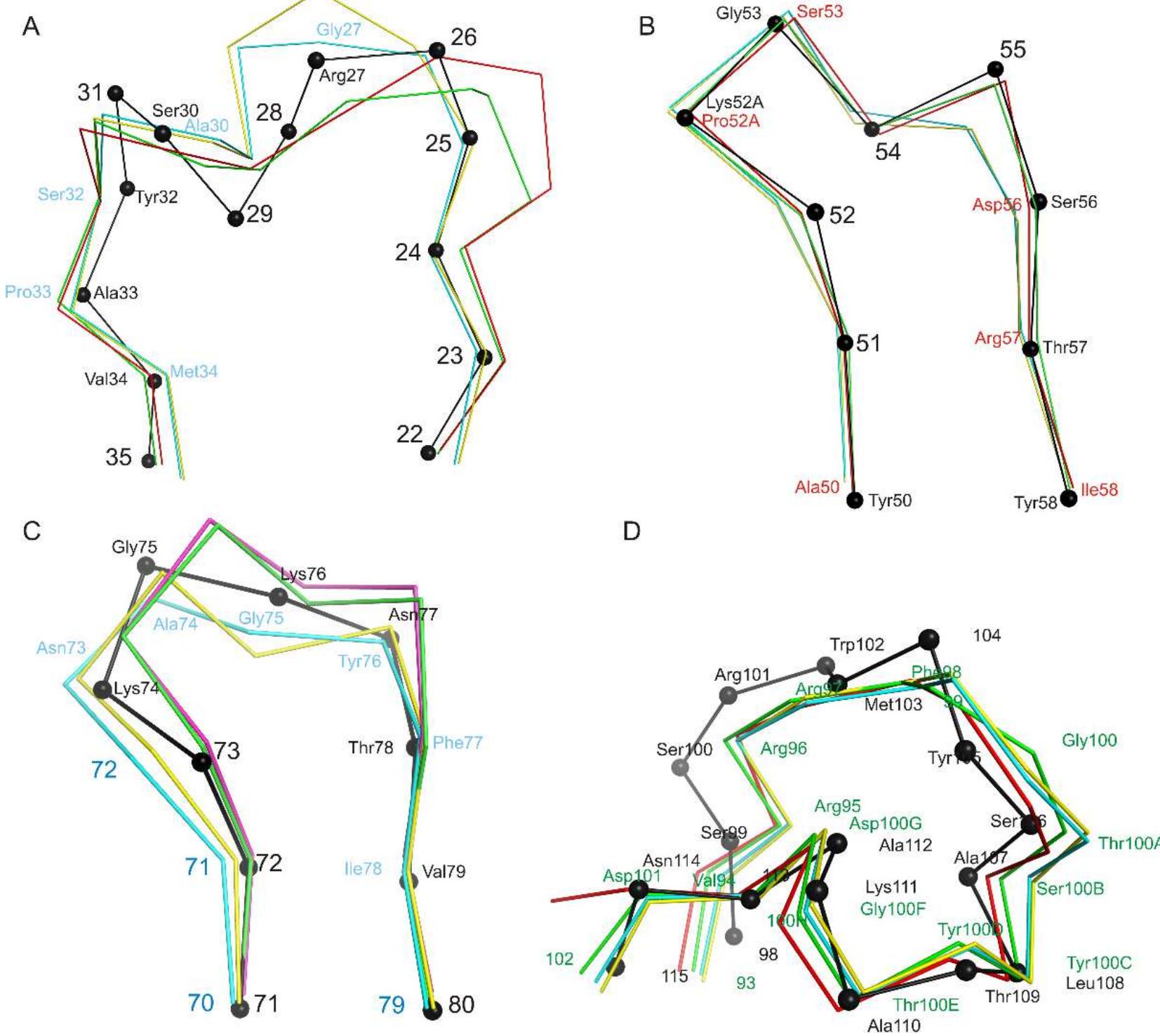 Structural alignment of cdr loops of heavy chains and hfr3.