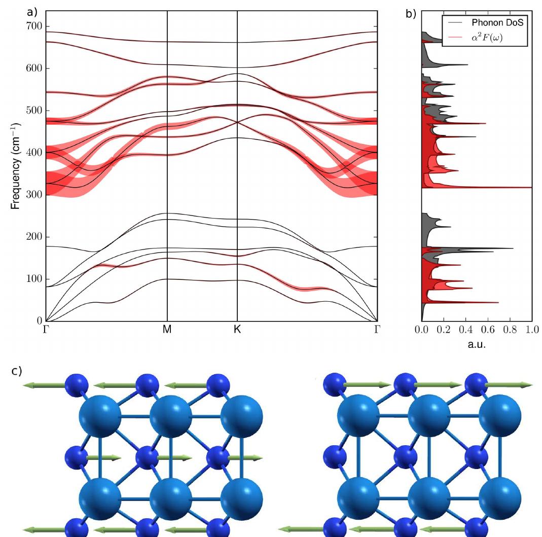 A) phonon dispersions phonon linewidths (magnified by a