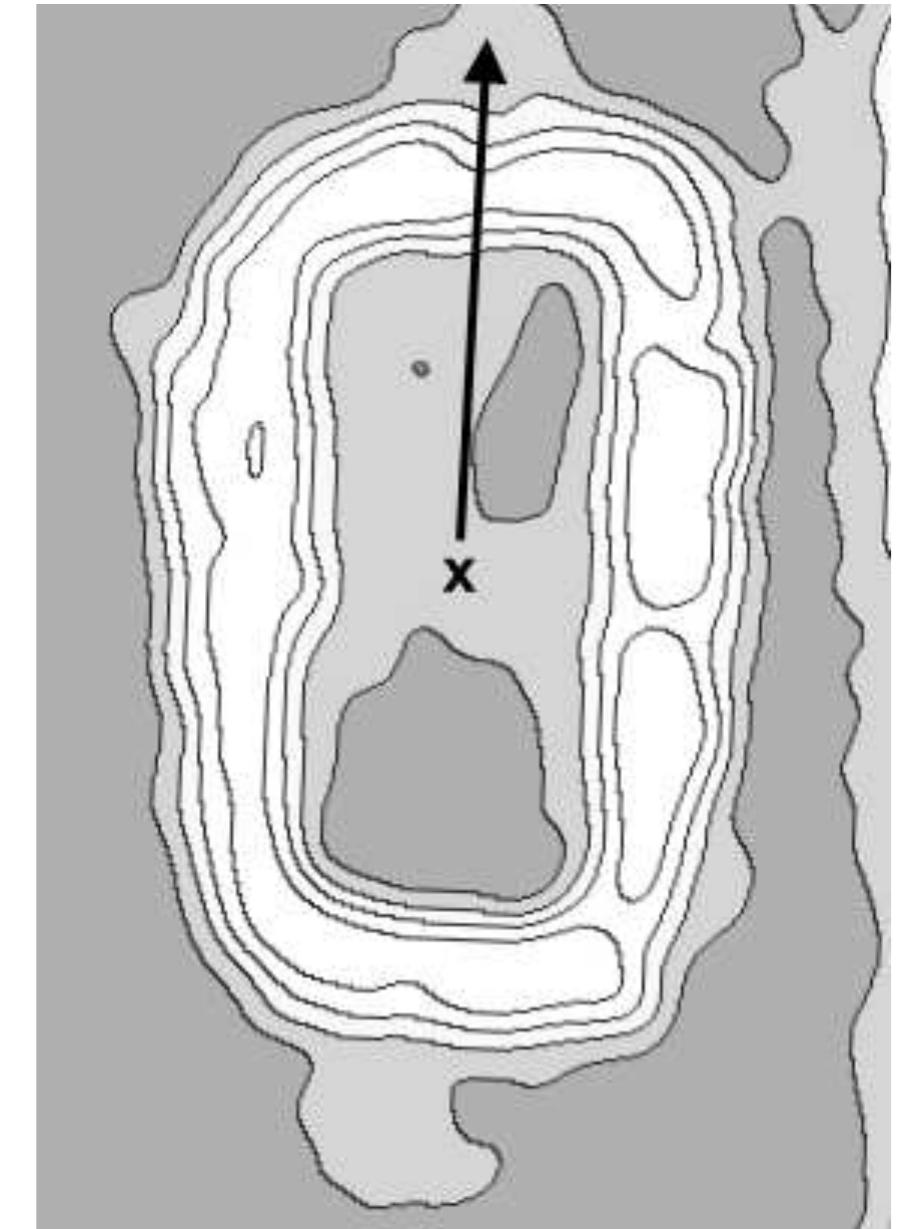 ANNUAL CONGRESS, image size:902x1229