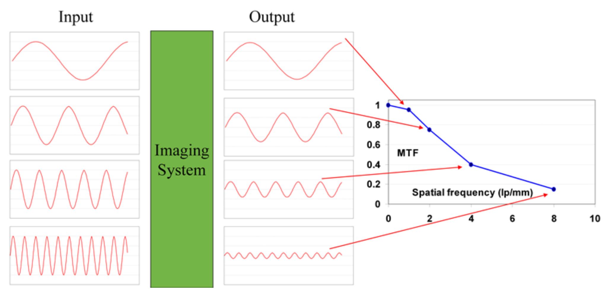 Schematic representation of the mtf concept. u mpl yste