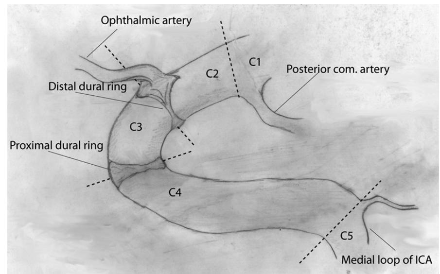 Figure 1 - from Management of the Patient with