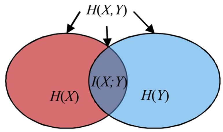Venn diagram showing graphically the relationship between