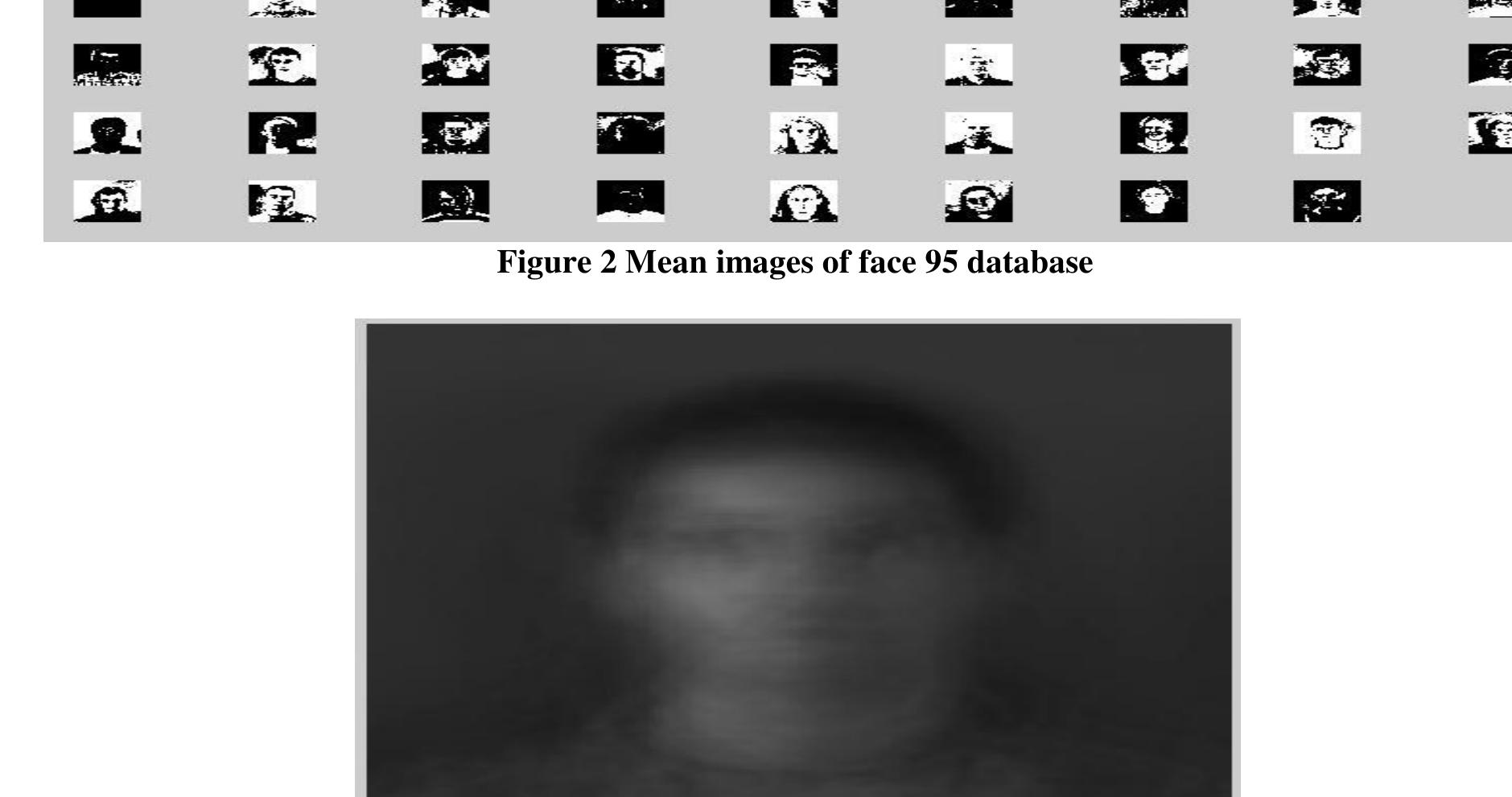 Mean face of sample images figure 1 sample images of face 95