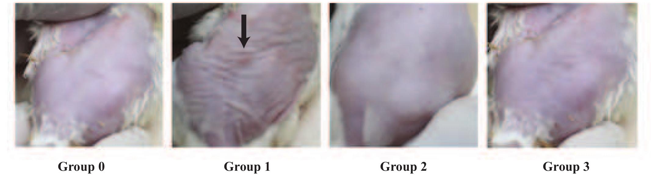 Figure 2 - from Effect of Lactobacillus reuteri