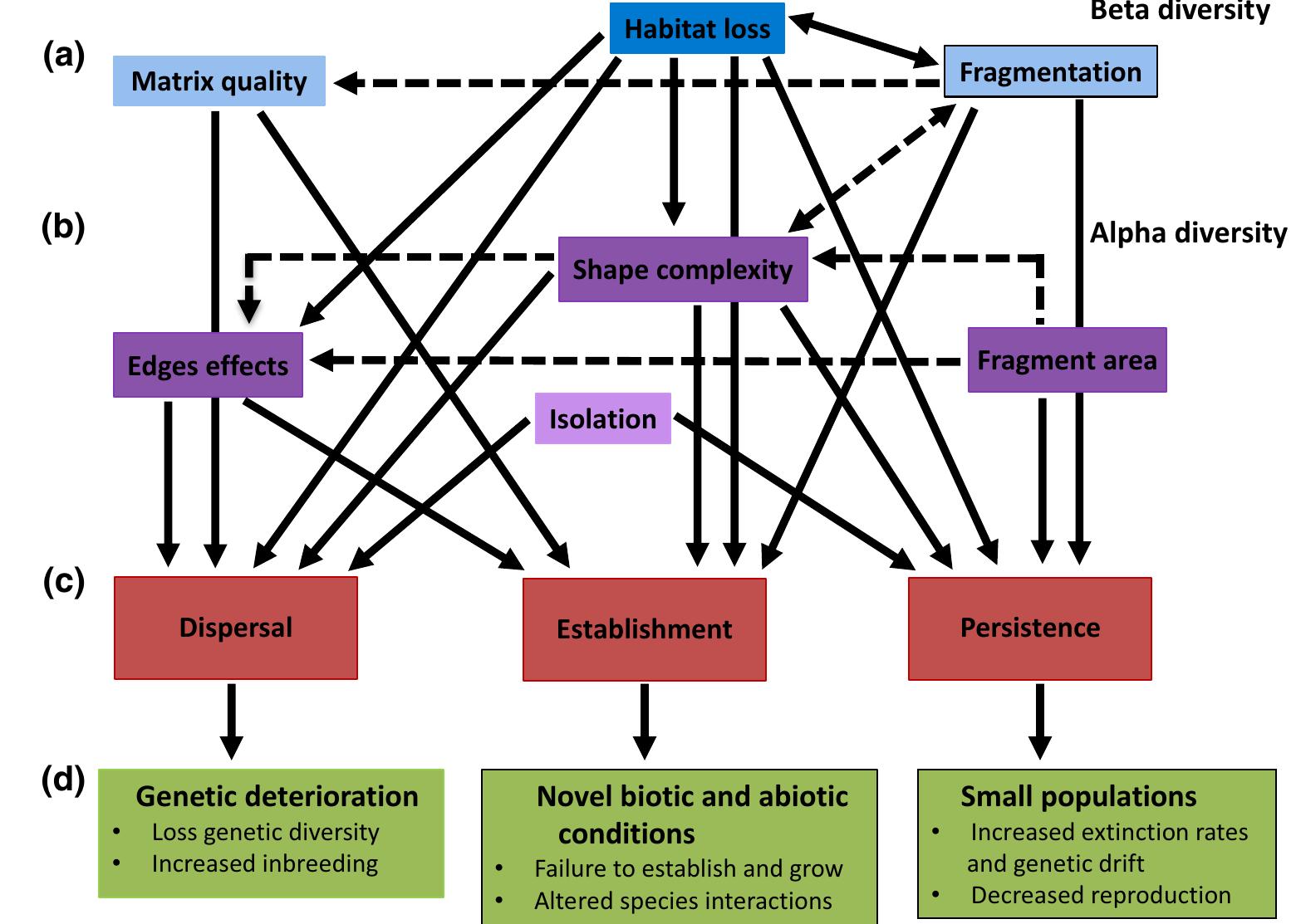 (PDF) The effects of habitat loss and fragmentation on plant functional ...
