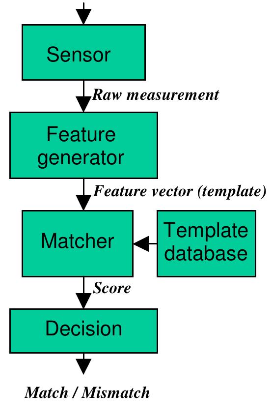 (PDF) Personal authentication using hand-geometry and palmprint ...