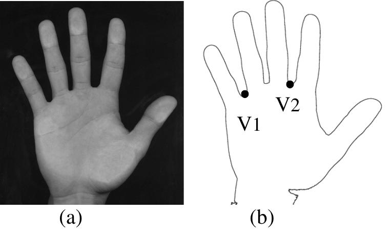 True Hand Graph (PDF) Personal authentication using hand-geometry and palmprint ...