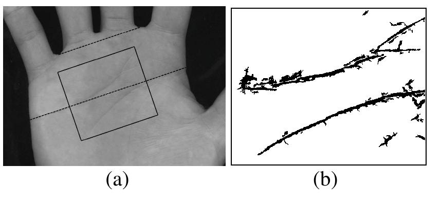 (PDF) Personal authentication using hand-geometry and palmprint ...