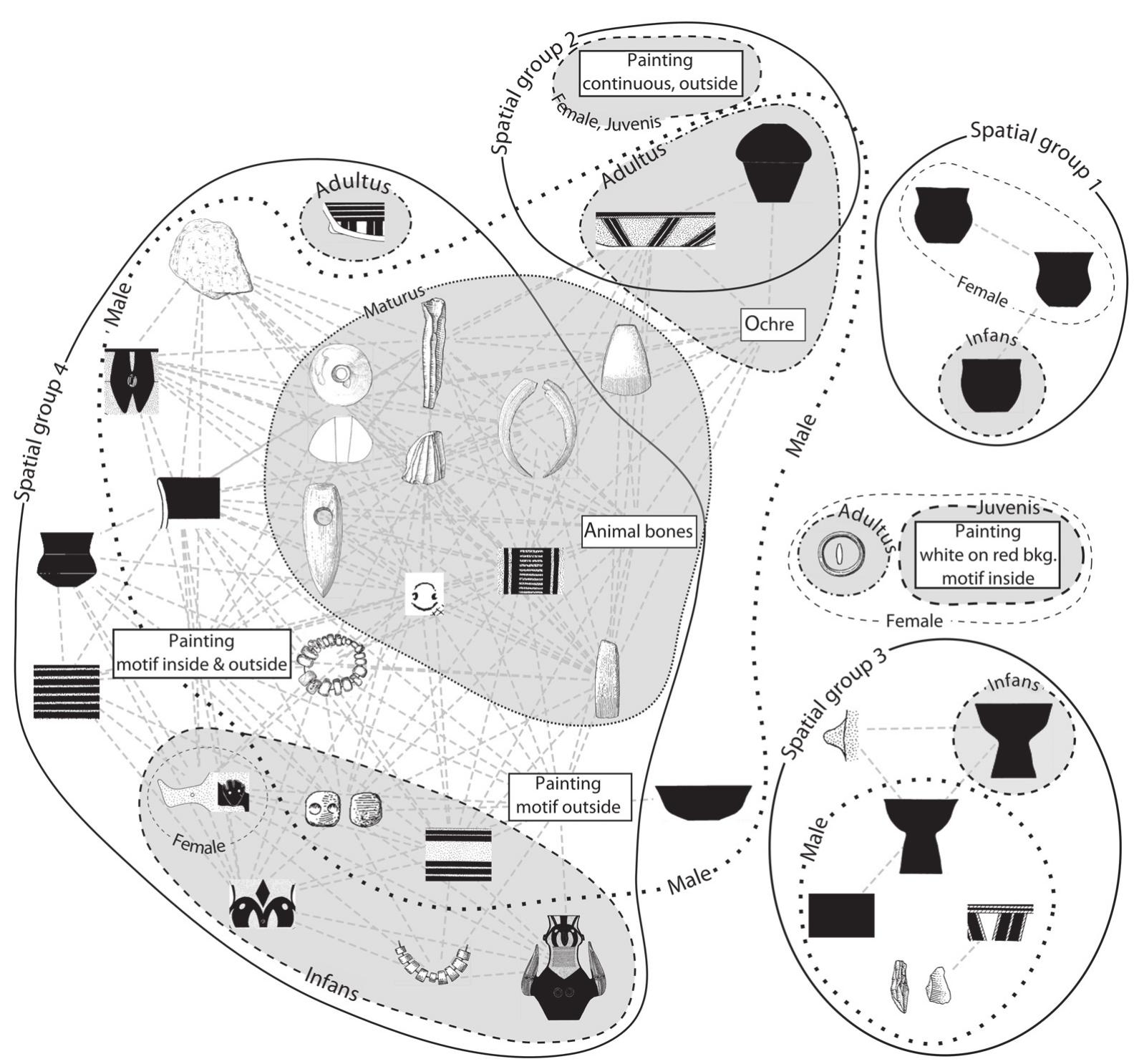 FIGURE 6. Network diagram showing grave inventory types correlating with exceptional burials of different age, sex and spatial groups. Grey dashed lines show correlations significant within a 99% confidence interval.  groups by statistically assessing their frequency of incidence within a particular group. When combined, the results of these analyses create a multidimensional space of interconnected attributes of burial rite, forming clusters along the spatial, age and sex grouping. I have attempted to visualize the emerging structures using the network analysis software Cytoscape (Cline et al. 2007), selecting only grave goods showing a significan correlation with a specific age, sex or spatial group and also with high values of EI (Figure 6). Recognizable patterns in the selection of grave goods appear in the age groups Infans, Adultus and Maturus for males and Infans, Juvenis and Adultus for females from spatia groups one to four. The highest complexity can be observed in spatial group four, where also the mos exceptional burials can be found, although this group is not the largest in terms of area nor the number of graves.  