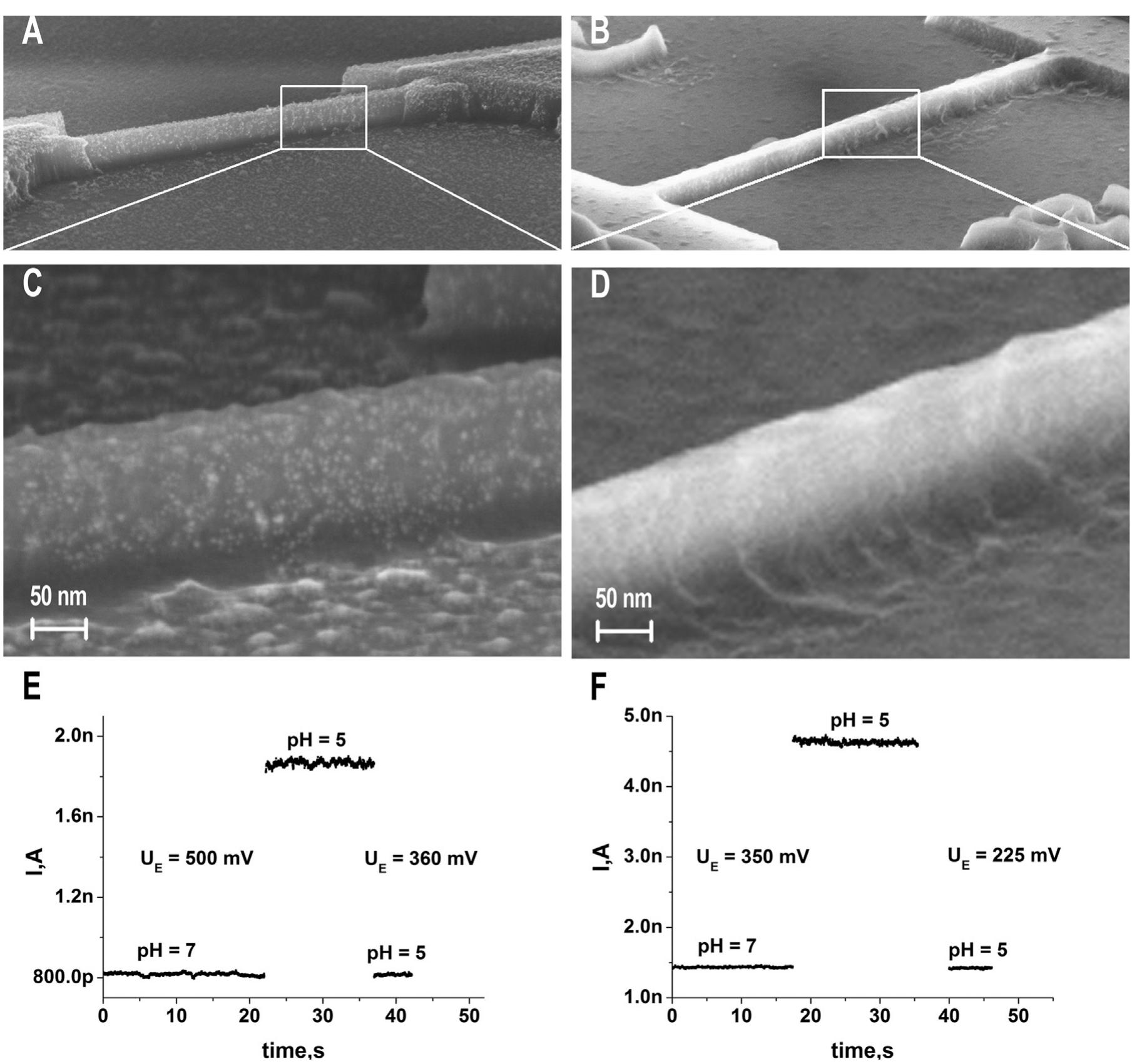 (PDF) Biosensor based on a silicon nanowire field-effect transistor ...