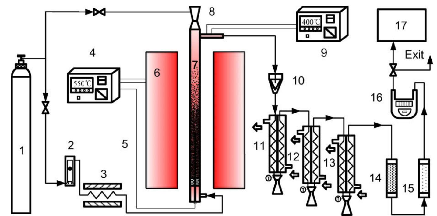 Schematic diagram of the fluidized bed system for fast