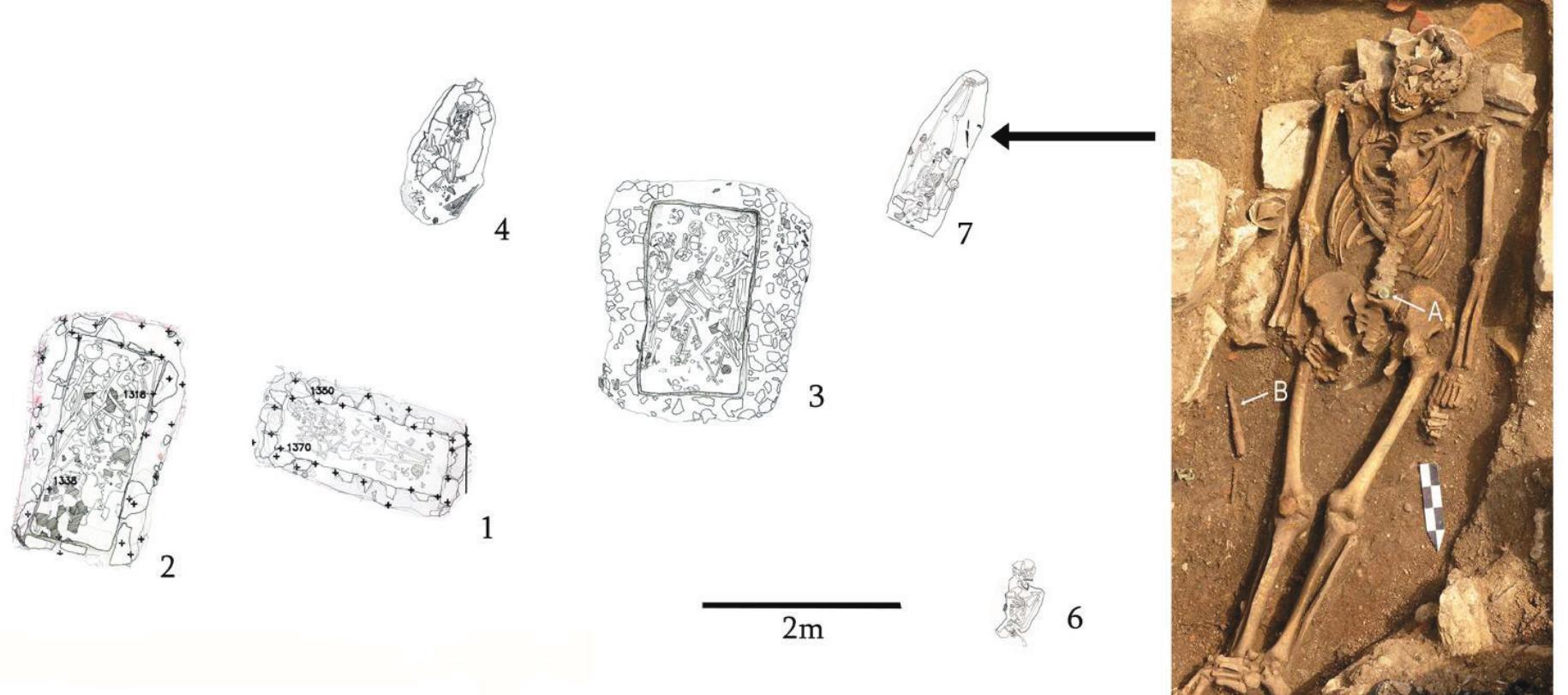 Simple Inhumation Plan of the resnik cemetery with grave number 7 highlighted.