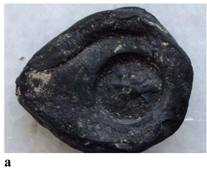 Fig.13.a,b. Bottom surface of the bulla (with Wasuli stamp seal impression) 