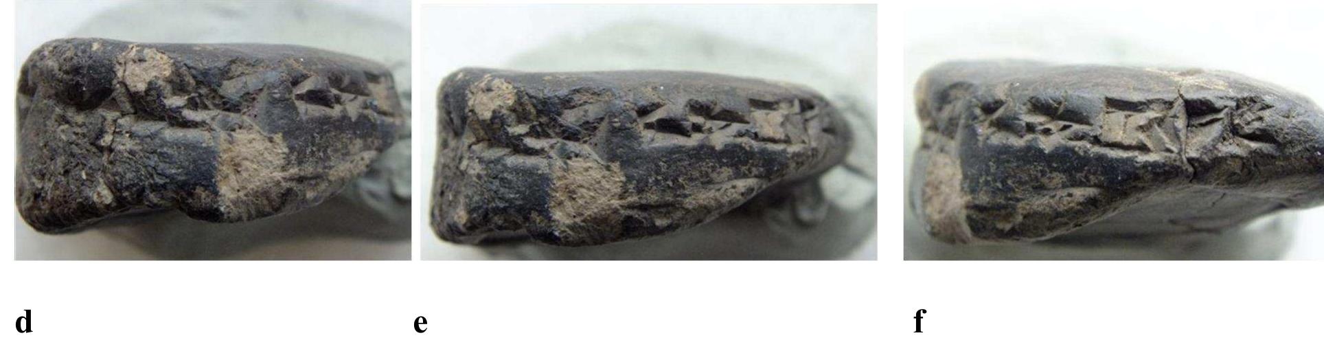 Fig.16.a,b,c,d,e,f. Lateral surface of the bulla 