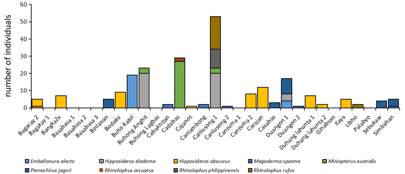 (PDF) Abundance and Species Composition of Cave Bats (Mammalia ...