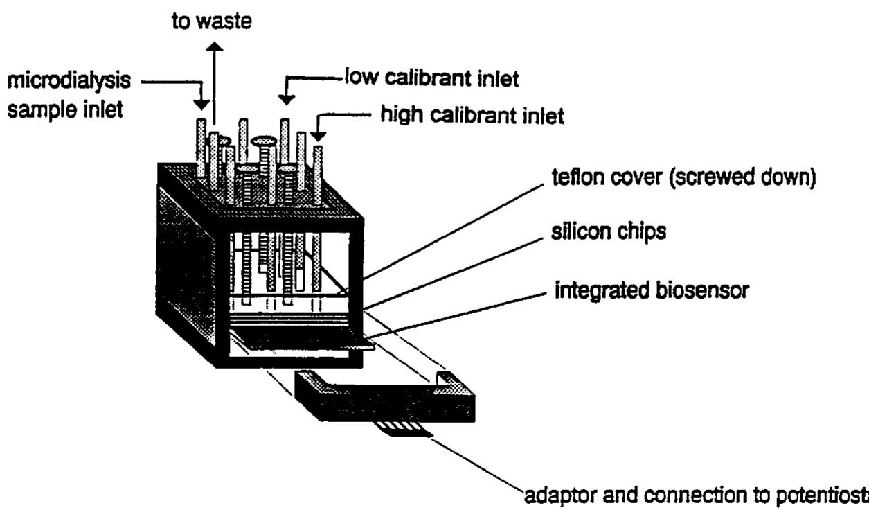 Schematic showing a cross section of the amir flow cell and