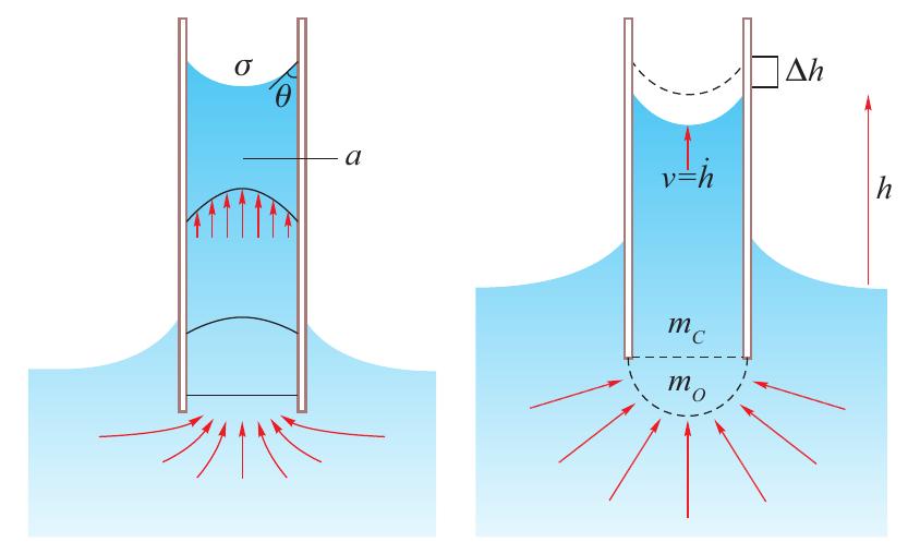 (PDF) On The Solution of Capillary Rise Dynamics