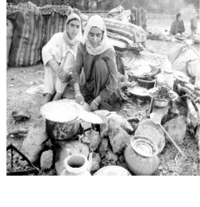 (PDF) Assessment and Understanding of Gujjar and Bakerwal Women's ...