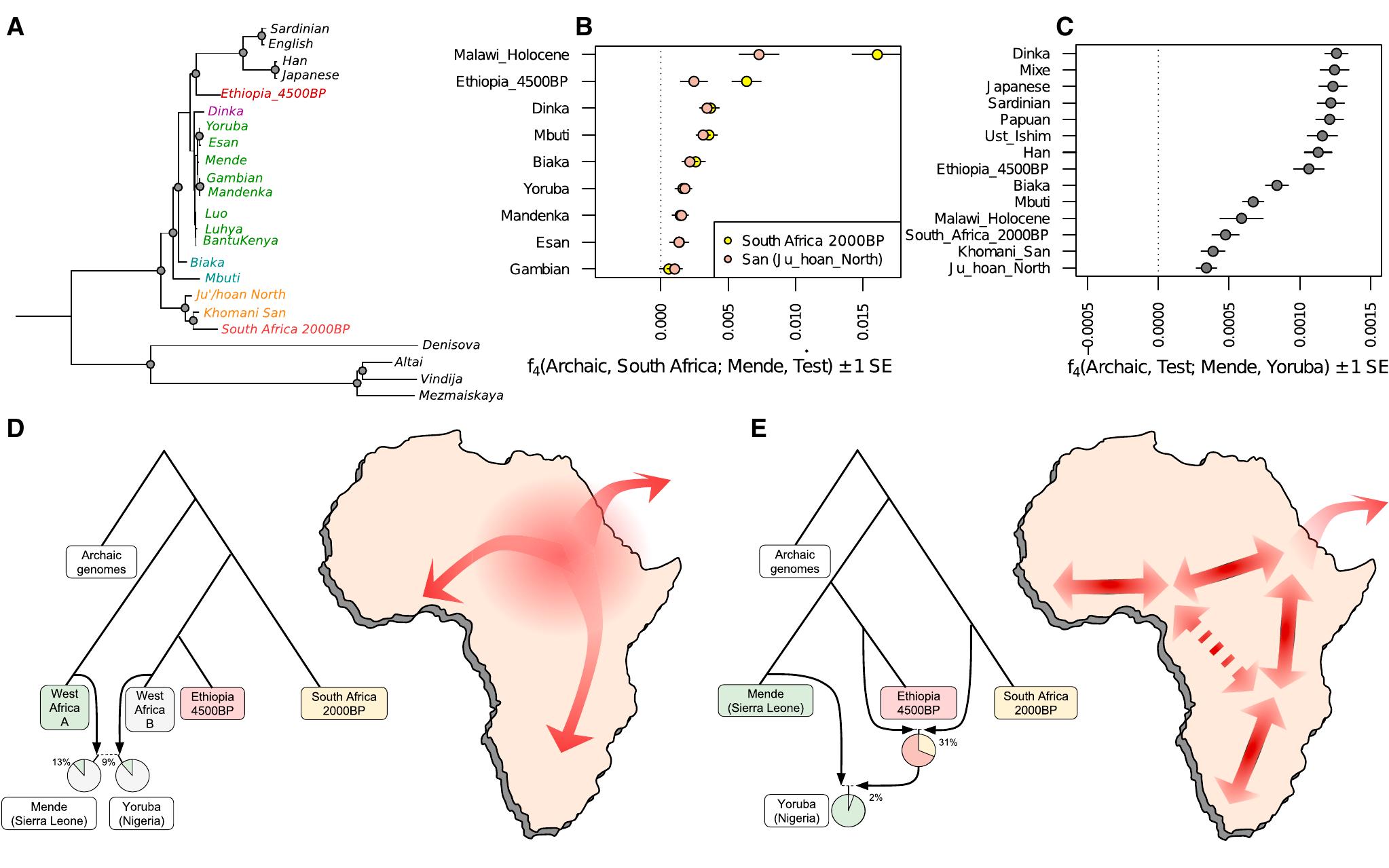 (PDF) Reconstructing Prehistoric African Population Structure Graphical ...