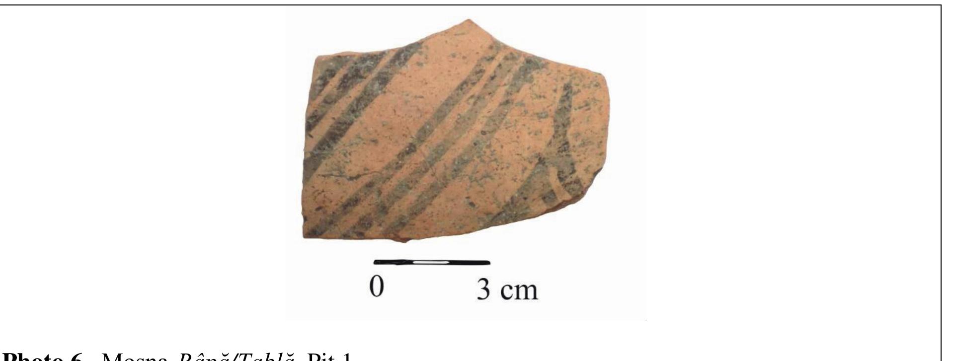 Photo 7. Mosna-Rdpd/Tabla. Pit 1 