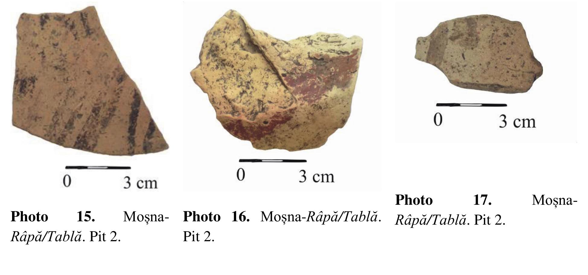 Photo 15.  Fine category (polished outside); Homogeneous paste; Temper: fine grain sand (mixed with mica and pebbles); Very good firing; reddish-yellowish color. Painted ornament: outside; Black painting; Geometric/Curvilinear; Bichrome. 