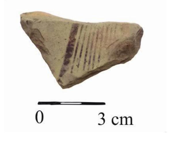 Photo 19. Mosna-Rapa/Tabla. Pit 2. 