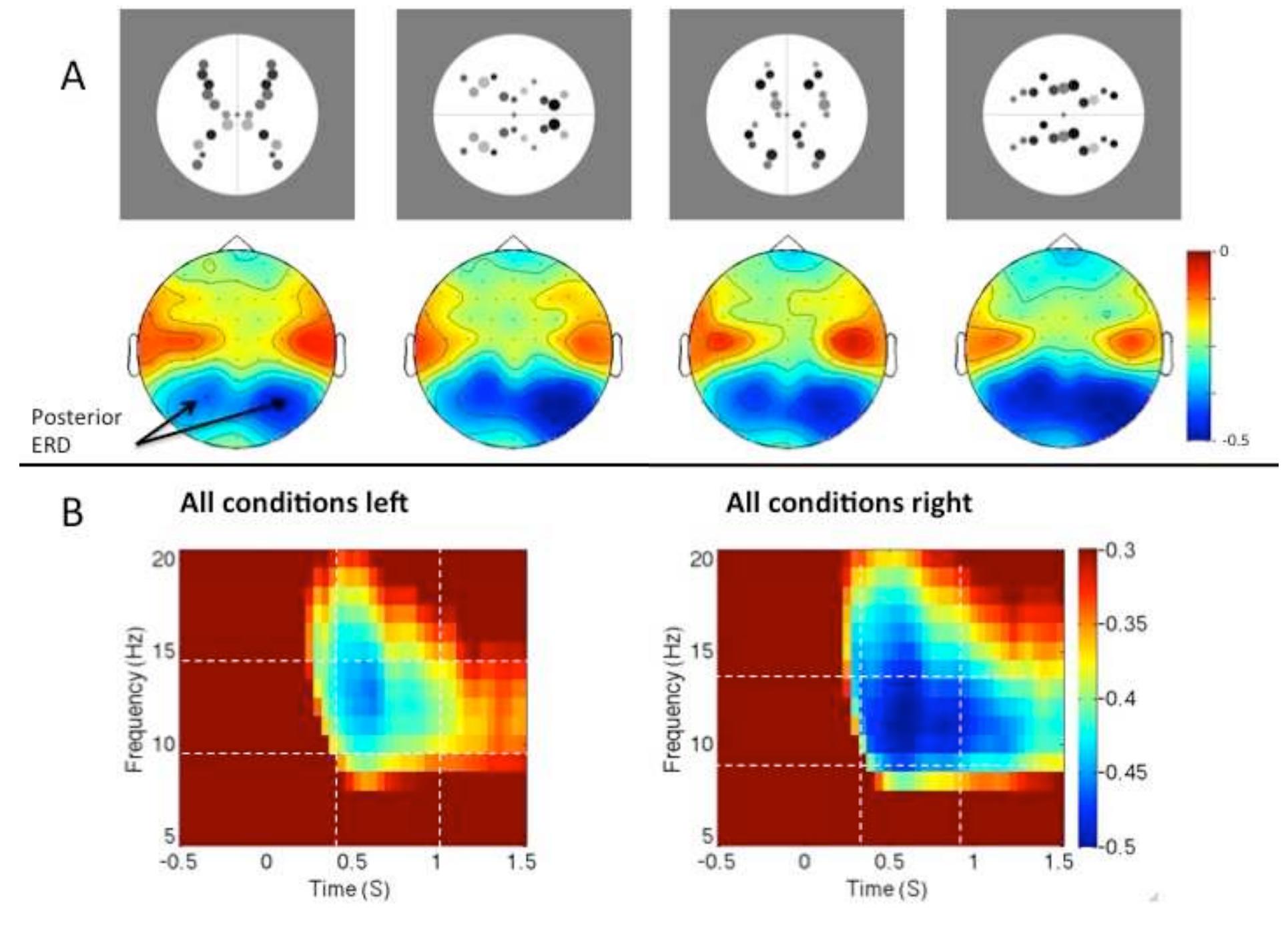 2.6. Question Six: does symmetry processing produce an automatic affective response? 